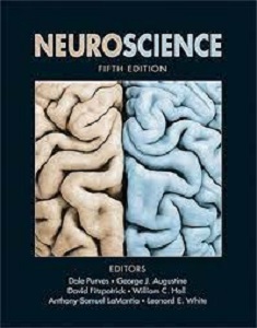Image de la couverture du livre : neuroscience
